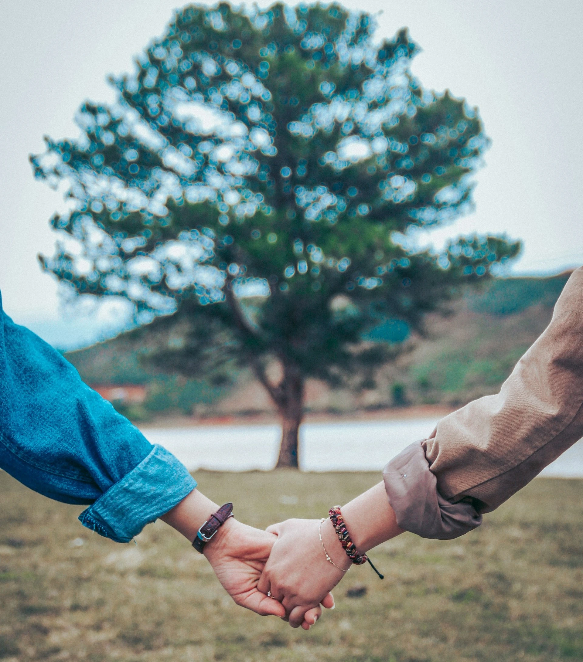 two people holding hands in front of a tree