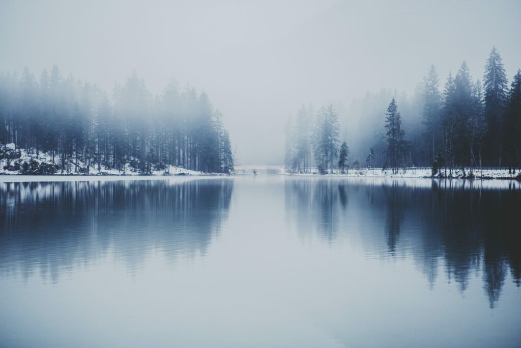 a body of water surrounded by trees and snow